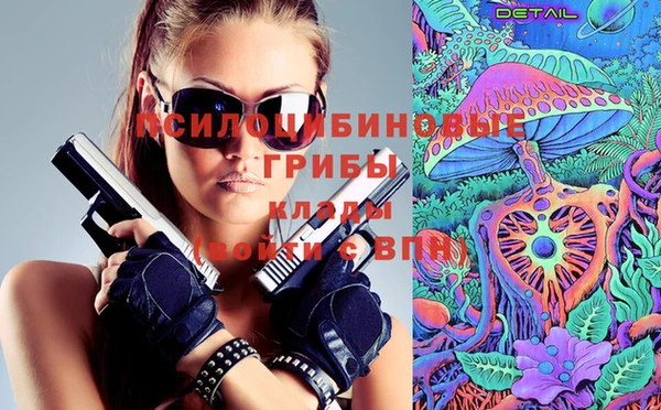 первитин Карпинск