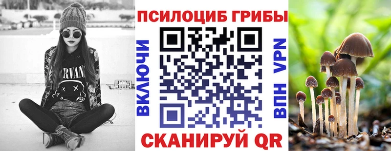 Псилоцибиновые грибы мицелий Великие Луки